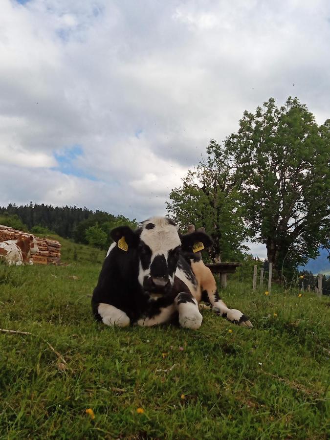 Appartamento Haus Schwarzeck Ramsau bei Berchtesgaden Esterno foto